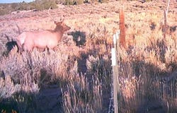 BS Road, Glade Park, CO 81523