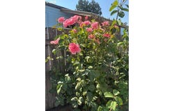 34185 EL ROBLE Ave, Eugene, OR 97405