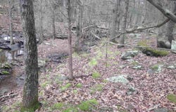 tract 3 HWY 14 E, Mountain View, AR 72560