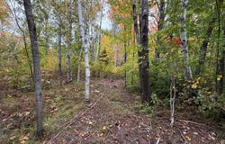 51449 Sand Creek Rd, Bruno, MN 55712