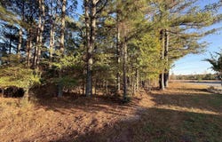 24712 S Highway 5, Hot Springs Village, AR 71909