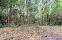 R008027 County Road 20, Jasper, TX 75951