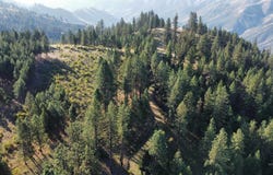 Pardee Road, Kamiah, ID 83536
