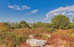 County Road 511 lot: 29, Hamilton, TX 76531