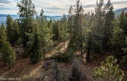 LOT 3, Worley, ID 83876