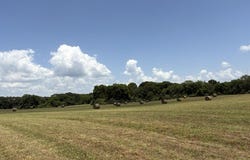 Wallace Mill Rd, Leighton, AL 35646