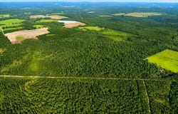 Oberry Road, Millwood, GA 31552