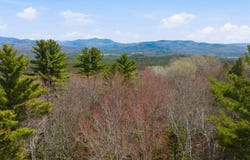 Puckerbrush Road, Campton, NH 03223