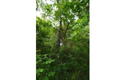 11919 CR 1200, MALAKOFF, TX 75148