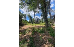 COUNTY ROAD 42, UMATILLA, FL 32784