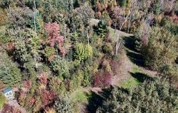 4473 Hamilton Drive, Harrison, MI 48625