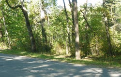 3572 N Ball Avenue, Harrison, MI 48625