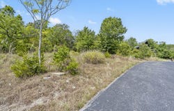 54 Lindal Cedar Lane, Branson, MO 65616