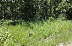 Hidden Pond Drive, Fordland, MO 65652