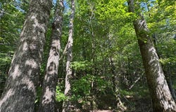 PARKER ISLAND Road, EQUALITY, AL 36026
