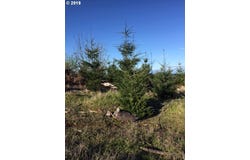 Oakdale Rd, Dallas, OR 97338