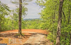 Wynngate Drive, Dillard, GA 30537