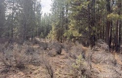 Bliss Rd, Sprague River, OR 97639