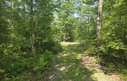 Head Tide Hill Road, Alna, ME 04535