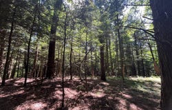 Minor Street Rd, Canton, NY 13617