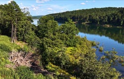 Mountain Park Rd, Shirley, AR 72088