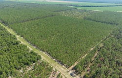 SE SCHOONER WAY, Lee, FL 32059