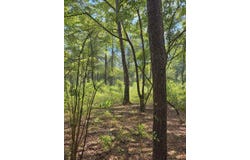 Kite Rd, Pittsview, AL 36871