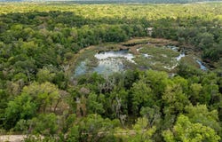 KENYON Drive, WEBSTER, FL 33597