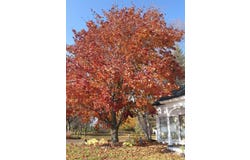 96 Davern Road, Peru, NY 12972