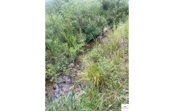29199 Henning Road, Cole Camp, MO 65325