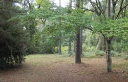 Spring Hollow Drive, Monticello, FL 32344