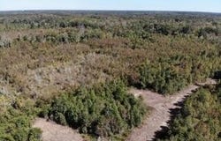 Broxton Bridge Road, Bamberg, SC 29003