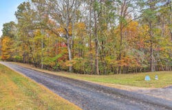 Thomason Ln, Goodview, VA 24095