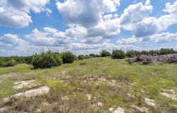584 Saddle Ridge Dr, Bertram, TX 78605