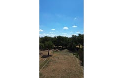 803 E Martin Luther King Drive, Ennis, TX 75119