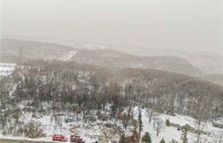 Spring Run Rd, Coraopolis, PA 15108