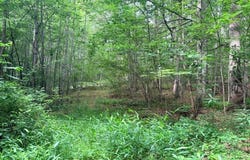 Molly Mann Rd, HINTON, WV 25951