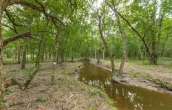3805 County Rd, Wolfe City, TX 75496