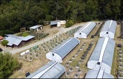 35082 Alderpoint Road, Blocksburg, CA 95514