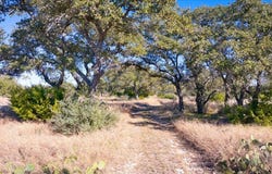 Starks Rd, Mason, TX 76856