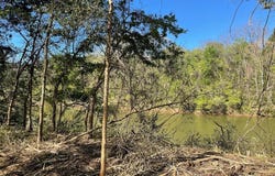 115 Cahaba View Drive, Selma, AL 36702
