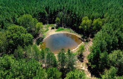 Hwy. 31, Romance, AR 72136-0000