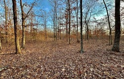 Tract 1 Highway CC, Salem, MO 65560