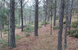 26757 Buffalo Butte Drive, Hot Springs, SD 57747