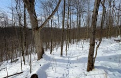 0 Wolfpen Run Rd, Coxs Mills, WV 26342
