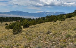 1054 Keepsake Loop, Westcliffe, CO 81252