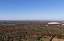 1773 CR 4306, DeKalb, TX 75559