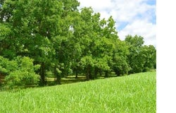 64 S Highway 109, Hugo, OK 74743