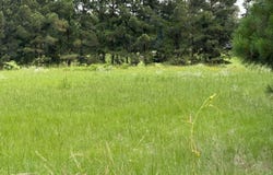 Highway 128, Bismarck, AR 71929-0000
