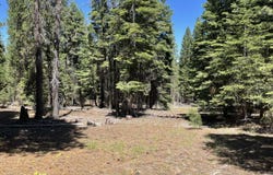 Range Road, Alturas, CA 96101
